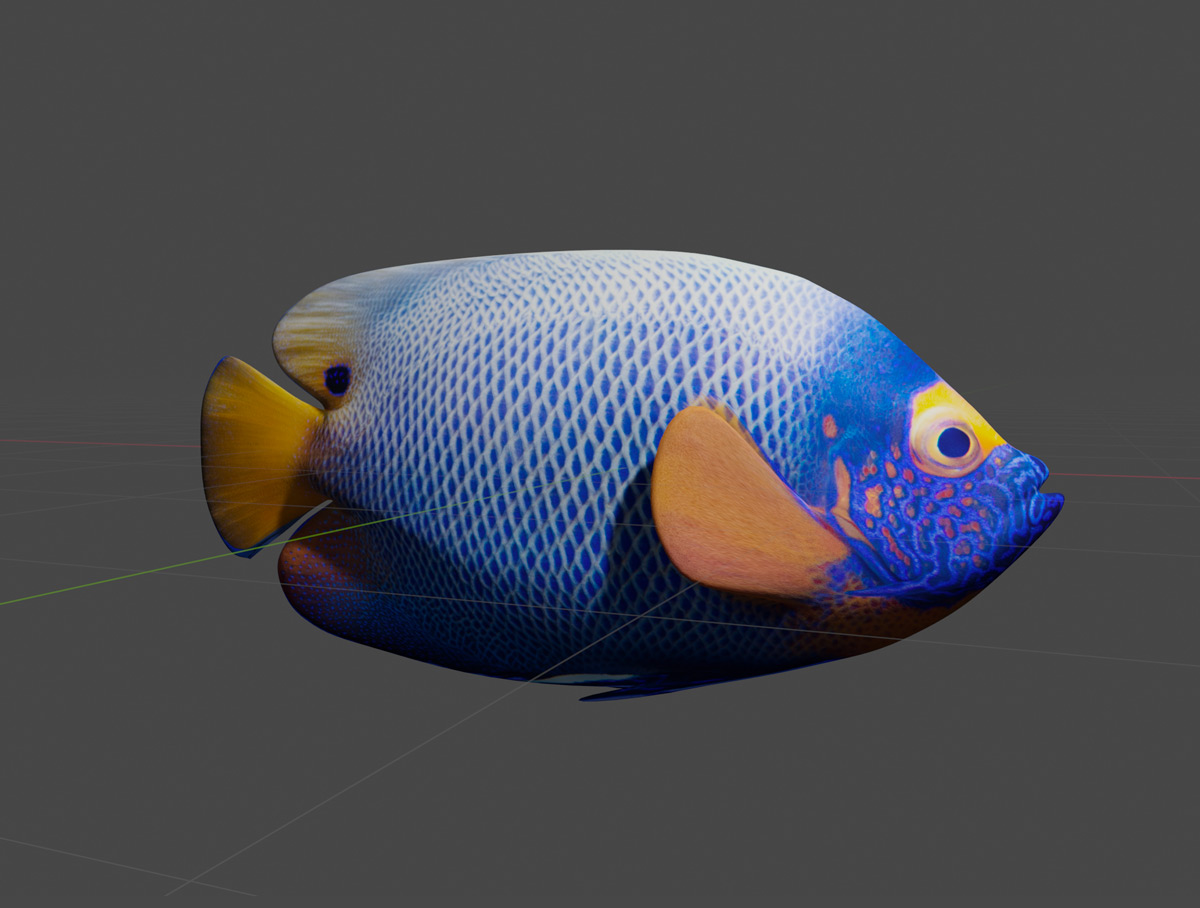 Tropical Fish - Blueface Angelfish preview image 1